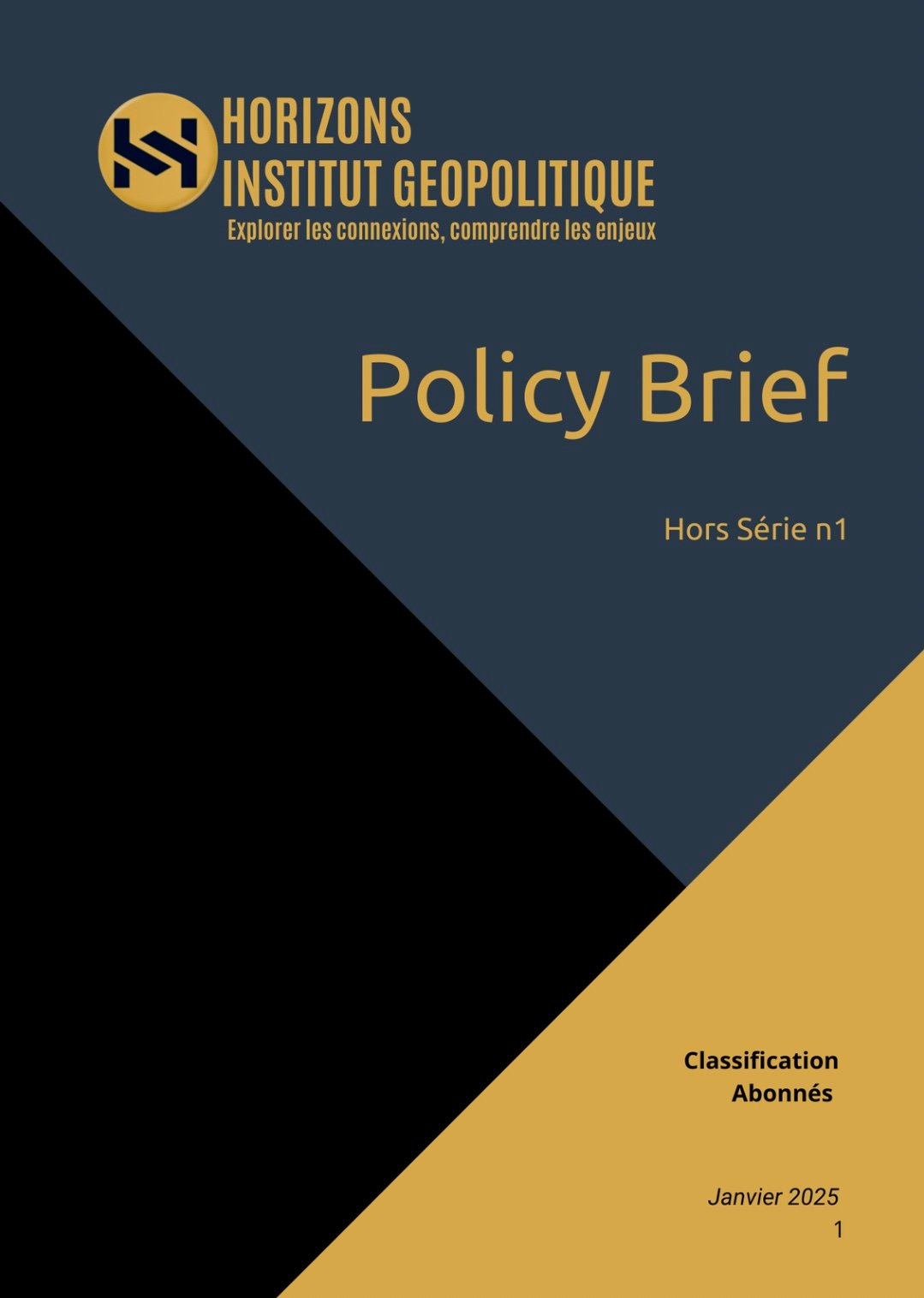 Policy Brief Hors Série Janvier 2025