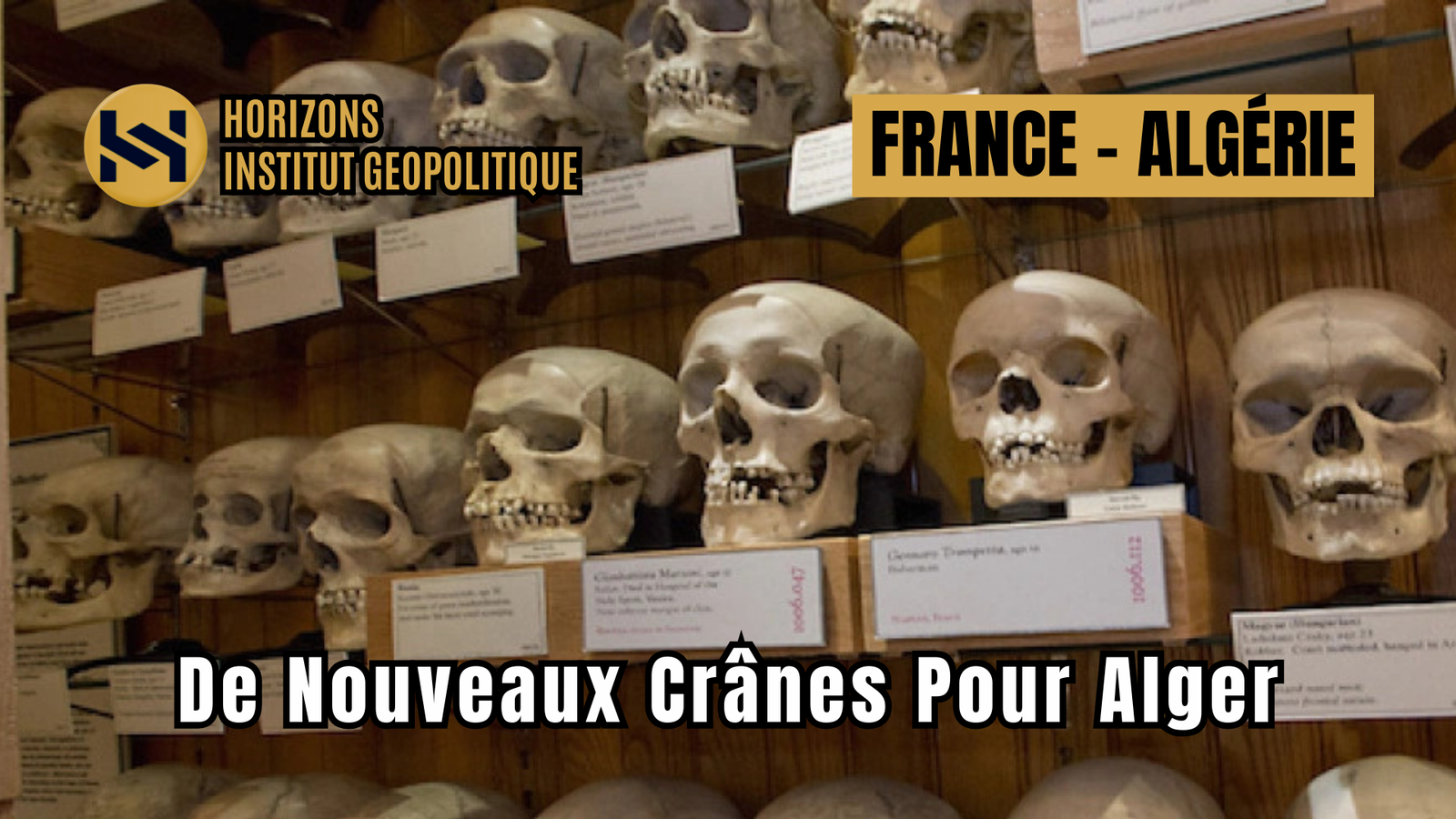 France – Algérie : De Nouveaux Crânes Pour Alger