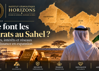 Que font les Émirats au Sahel ?